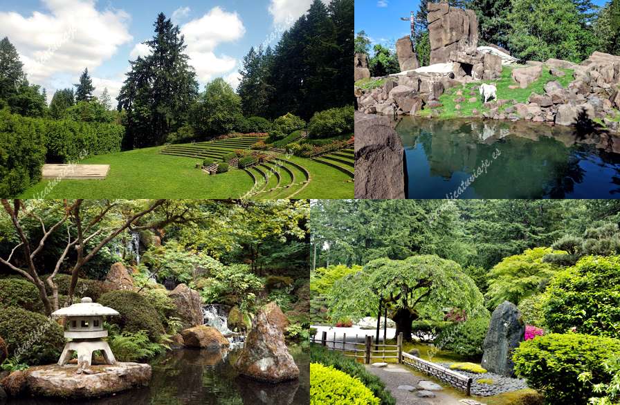 Washington Park de Portland | Horario, Mapa y entradas