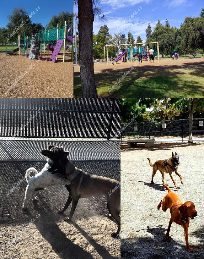 Wells Park de El Cajon | Horario, Mapa y entradas