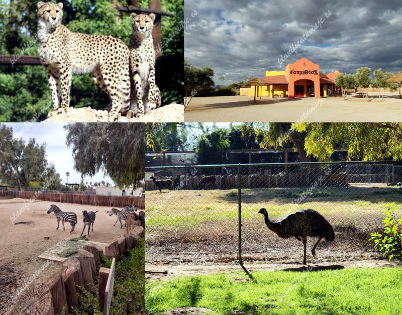 Wildlife World Zoo, Aquarium & Safari Park
