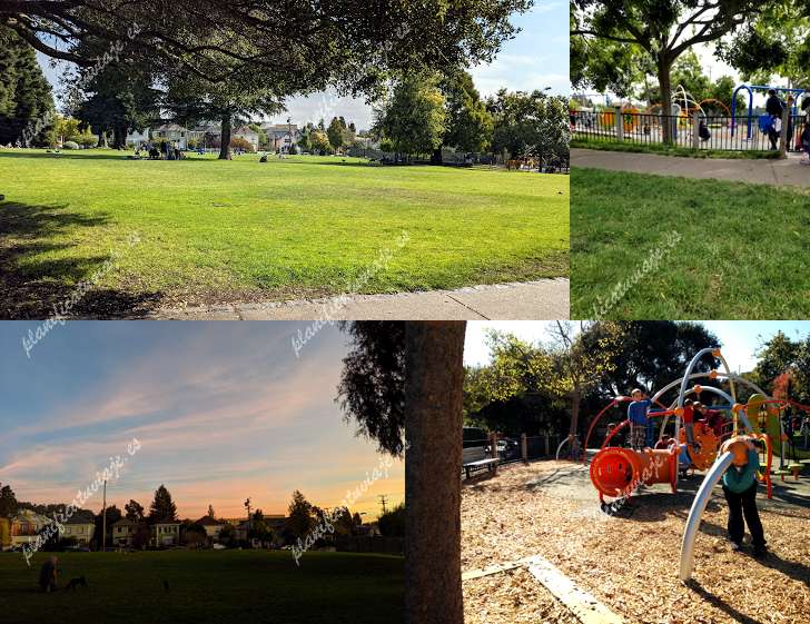 Willard Park de Berkeley | Horario, Mapa y entradas 39