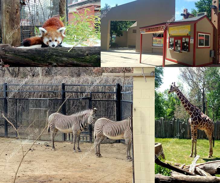 Zoo Boise de Boise | Horario, Mapa y entradas