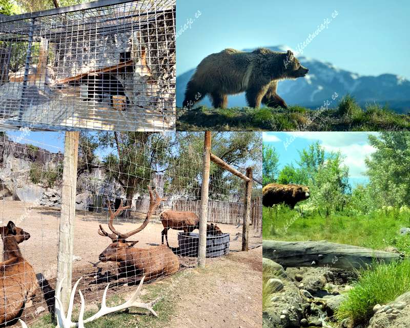 Zoo Idaho de Pocatello | Horario, Mapa y entradas