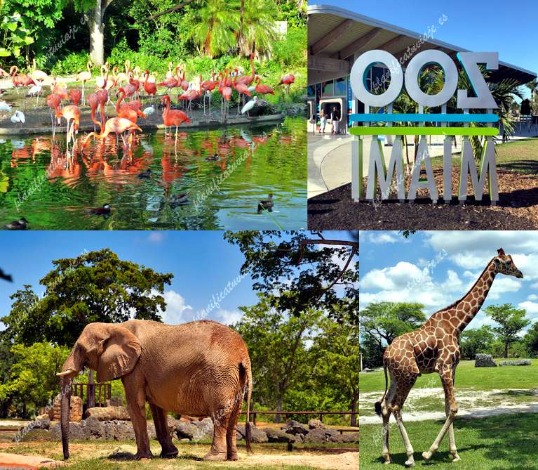 Zoo Miami de Miami | Horario, Mapa y entradas