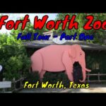 Fort Worth Zoo de Fort Worth | Horario, Mapa y entradas