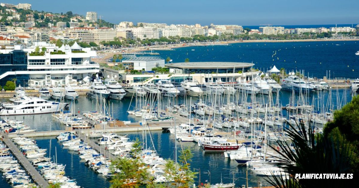 El puerto de Cannes