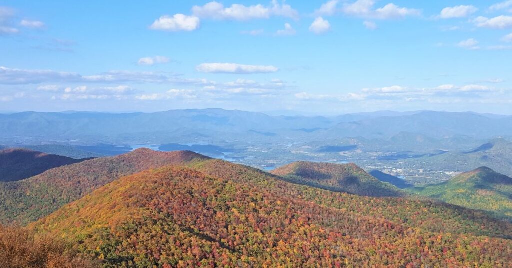 Bosque Nacional de Chattahoochee: Un oasis natural en el corazón de Georgia 3