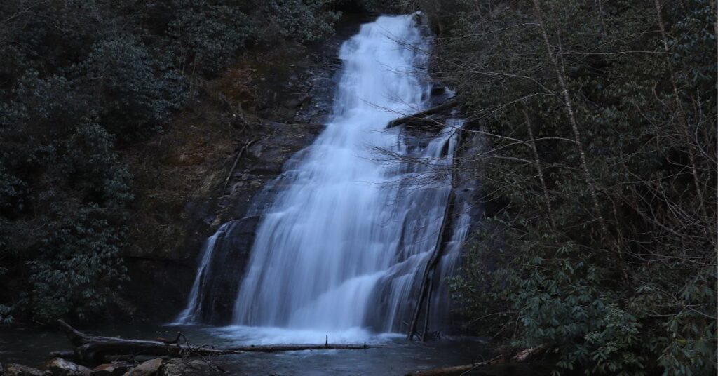 Bosque Nacional de Chattahoochee: Un oasis natural en el corazón de Georgia 6