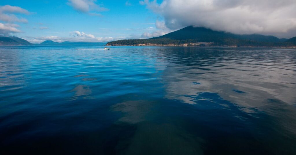 Islas San Juan: Un paraíso natural por descubrir en Washington 3