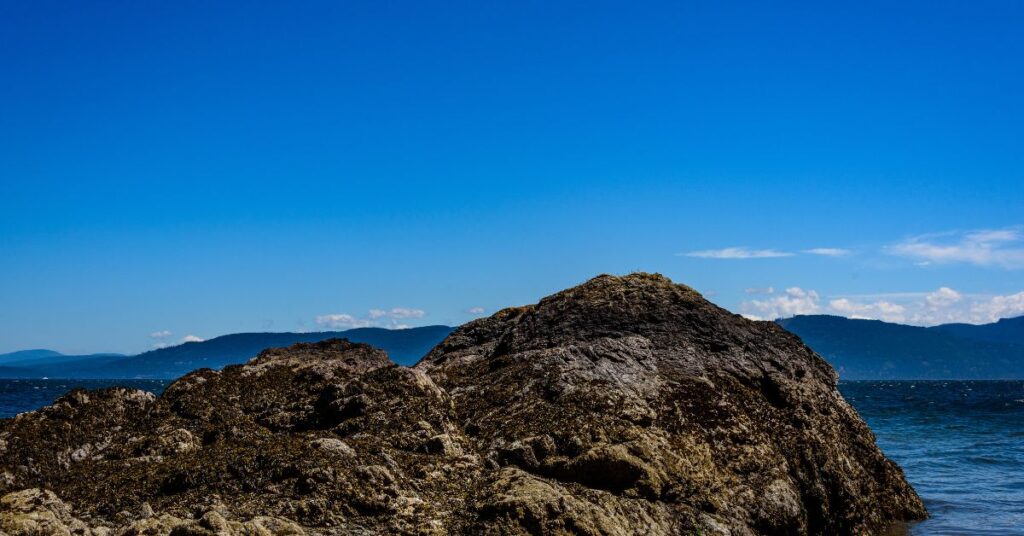 Islas San Juan: Un paraíso natural por descubrir en Washington 5