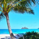Lanikai Beach: Disfruta de las mejores vistas y aguas cristalinas en Hawaii
