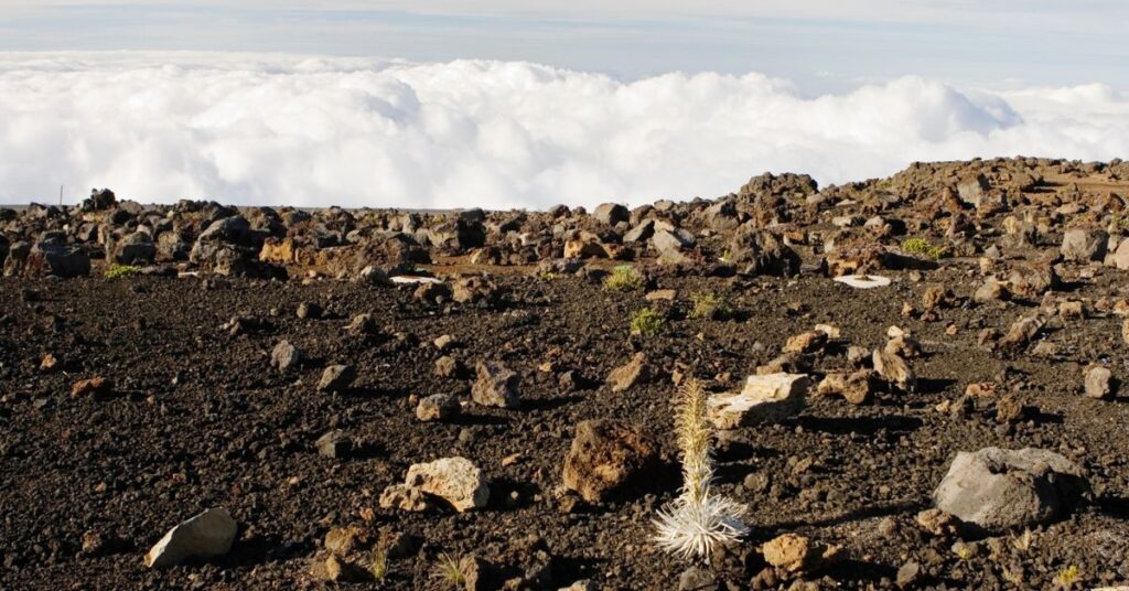 Parque Nacional Haleakala: Lo Mejor que Debes Visitar en Hawaii 3