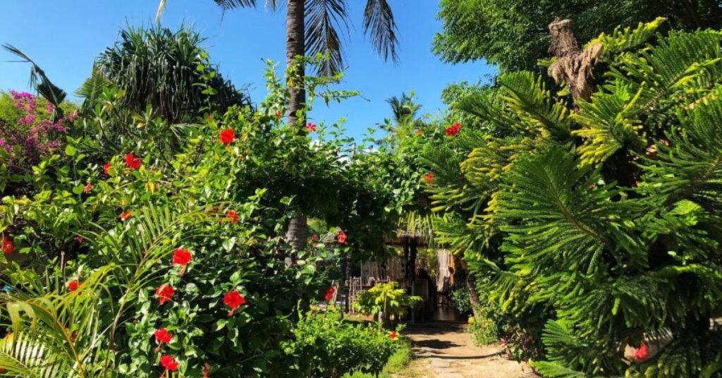 Gili Meno: Los secretos mejor guardados de la isla paradisíaca de Bali 5