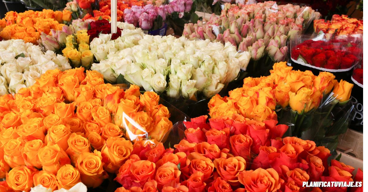 mercado de flores de KR Market