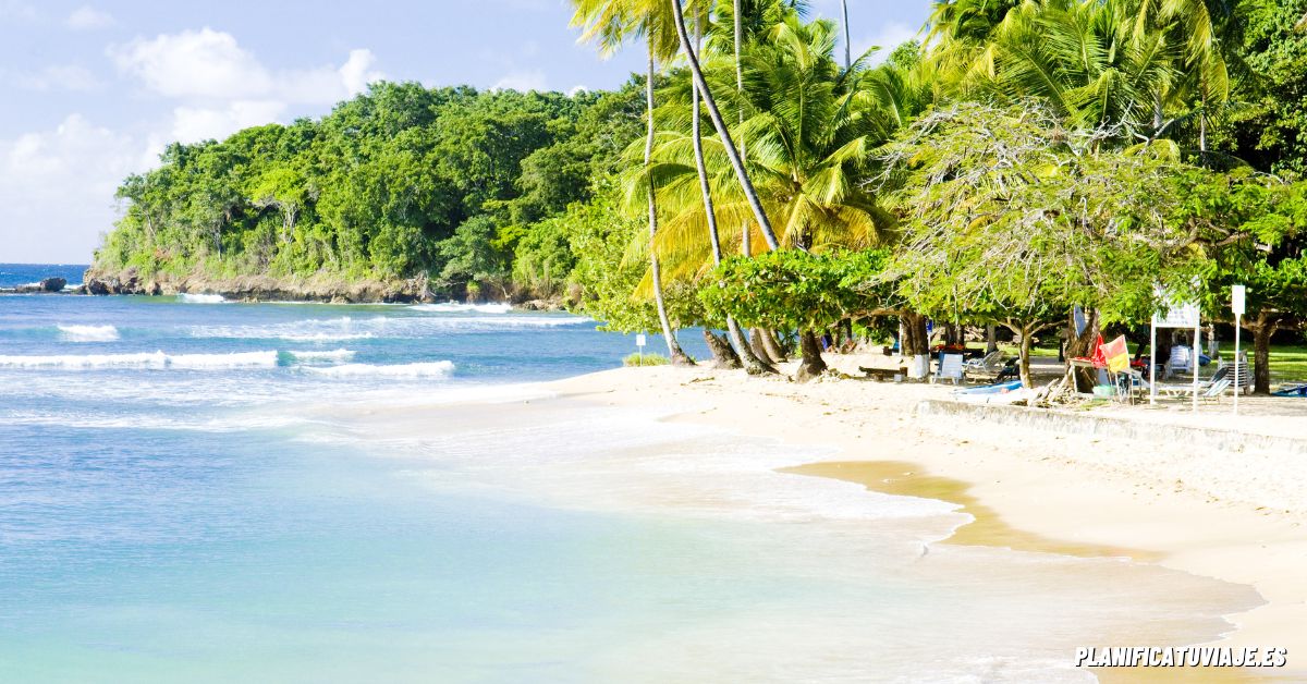 Qué ver en las playas de Tobago 1