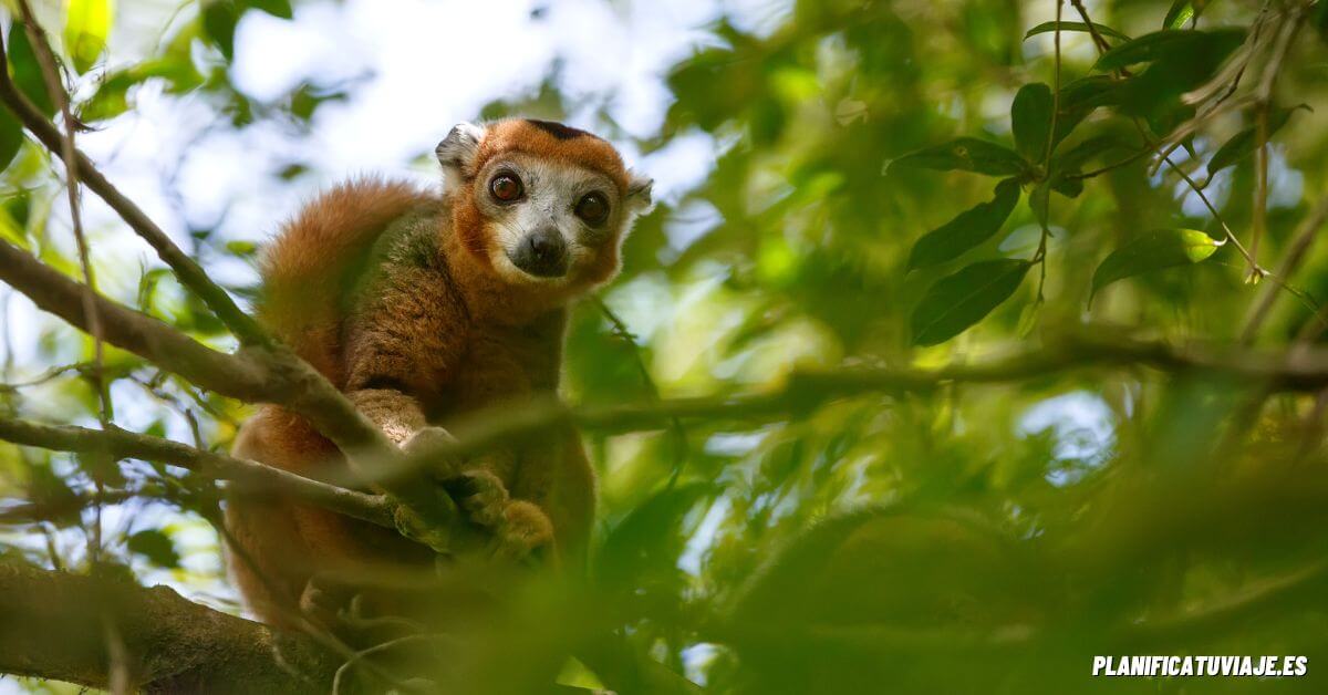 Qué ver en Madagascar 11