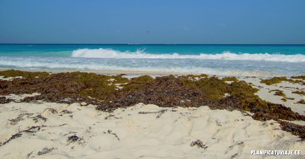 Qué ver en las playas de Cancún 6