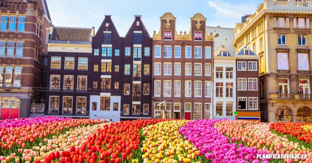 Qué ver en Ámsterdam