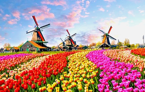 Los mejores lugares para ir de compras en Ámsterdam