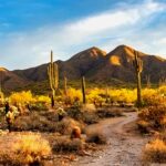 Historia de Arizona: Idioma, Cultura, Tradiciones