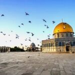 Requisitos de visado para viajar a Autoridad Nacional Palestina: Documentación y Solicitud