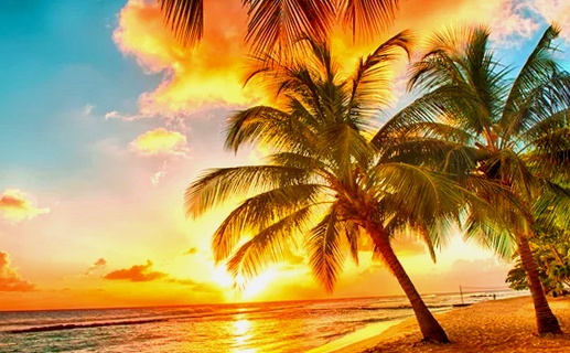 Mejor época del año para viajar a Barbados: Tiempo y Clima 9