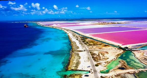 ¿Necesita un visado y un pasaporte para Bonaire?
