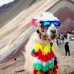 Donde alojarse en Cusco: Mejores hoteles, hostales, airbnb