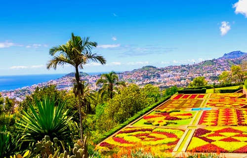 Guía de viaje a Funchal