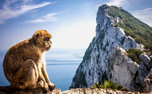 Cultura empresarial e idioma en Gibraltar