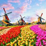 Historia de Holanda (Países Bajos): Idioma, Cultura, Tradiciones
