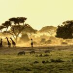 Donde alojarse en Kenia: Mejores hoteles, hostales, airbnb