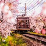Mejor época del año para viajar a Kioto: Tiempo y Clima