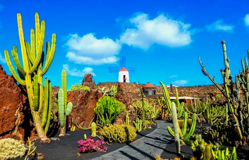 Mejor época del año para viajar a Lanzarote: Tiempo y Clima 5