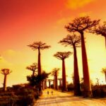 Mejor época del año para viajar a Madagascar: Tiempo y Clima