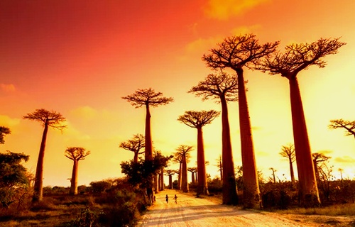 Qué ver en Madagascar 12