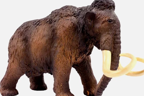 Guía de viaje de Mammoth