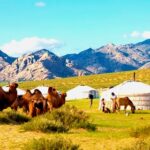 Historia de Mongolia: Idioma, Cultura, Tradiciones