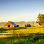 Historia de Montana: Idioma, Cultura, Tradiciones