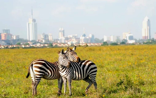 Alojarse en Nairobi