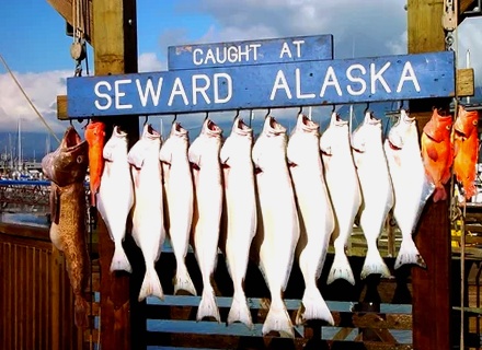 Turismo en Seward (Alaska): Qué ver, Tiempo, Transporte, Cuándo ir 6