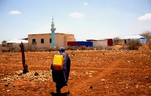 Requisitos de visado para viajar a Somalia: Documentación y Solicitud 2