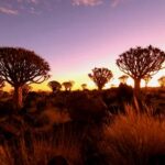 Requisitos de visado para viajar a Sudáfrica: Documentación y Solicitud