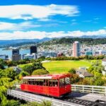¿Qué comprar en Wellington?: Souvenirs y regalos típicos