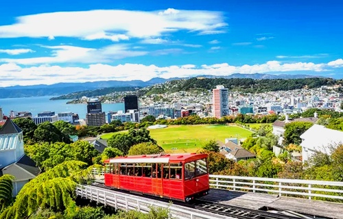 ¿Qué comprar en Wellington?: Souvenirs y regalos típicos 6