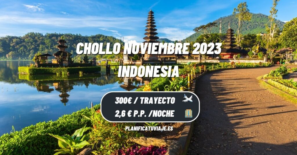 Chollo Indonesia Noviembre 2023
