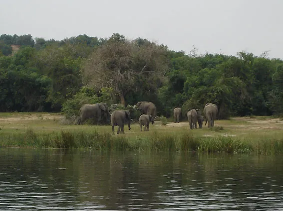 Parque Nacional Murchison Falls